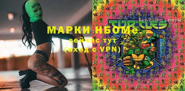 ПСИЛОЦИБИНОВЫЕ ГРИБЫ Белокуриха