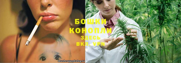 ПСИЛОЦИБИНОВЫЕ ГРИБЫ Белокуриха